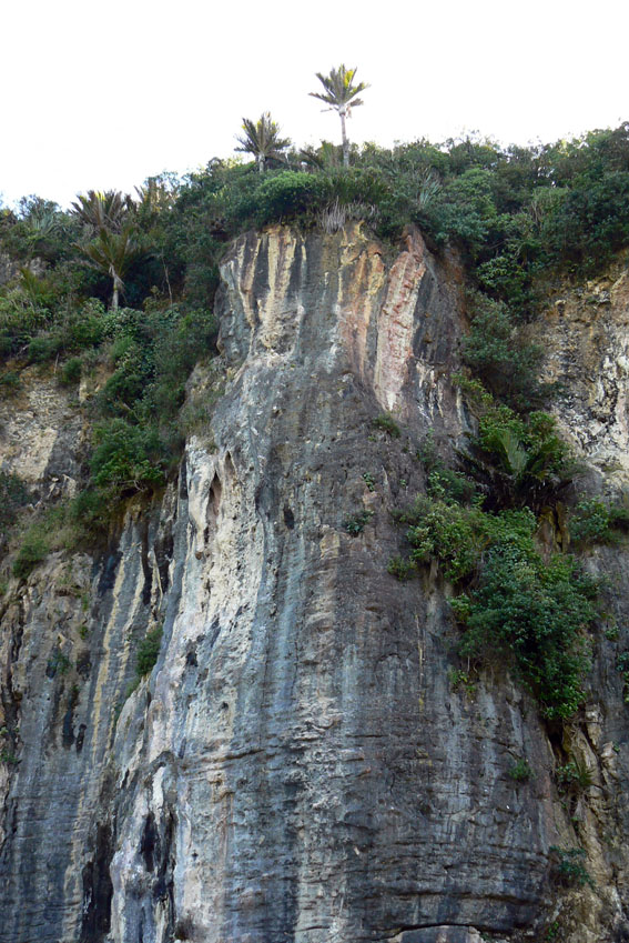 P1240210