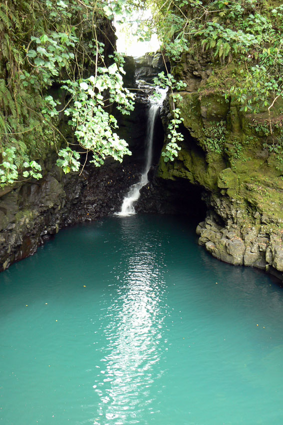 P1250695